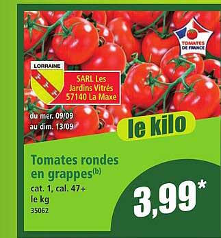 Tomates rondes en grappes(b)