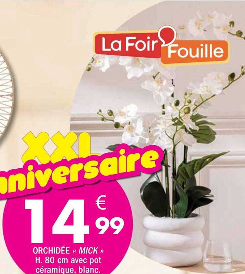 XXL anniversaire