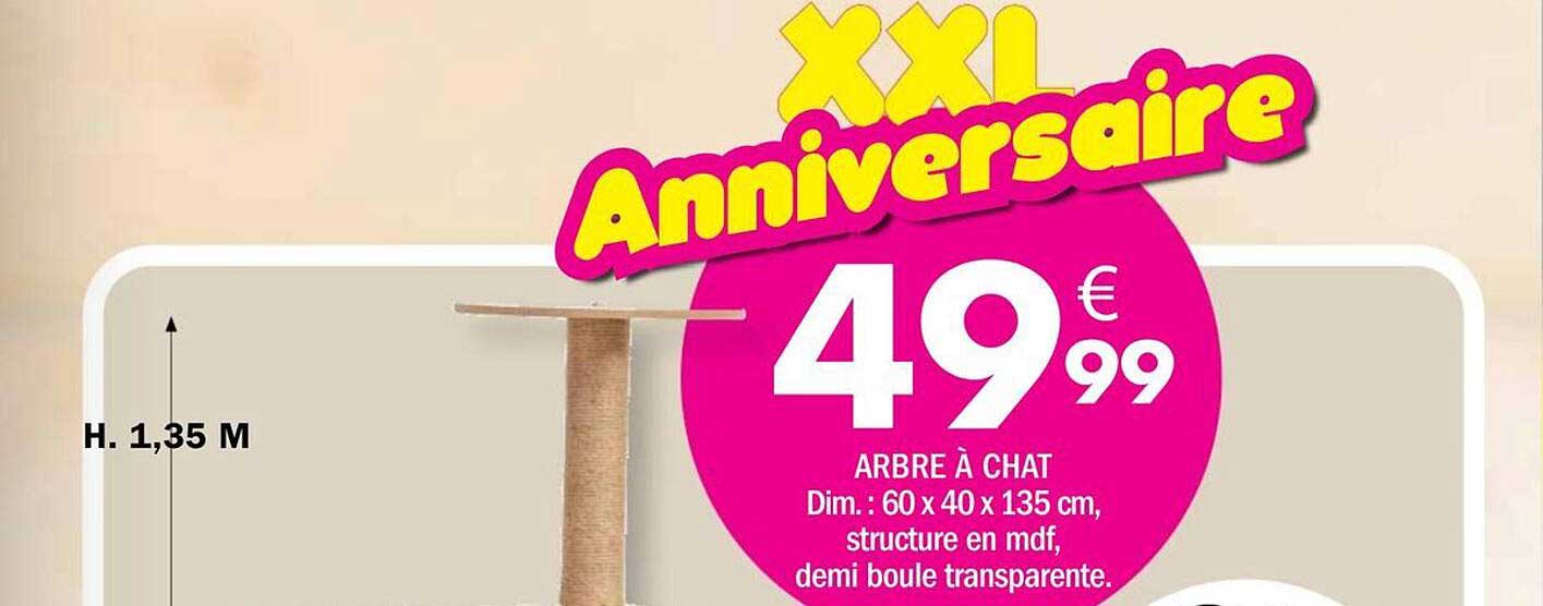 XXL Anniversaire