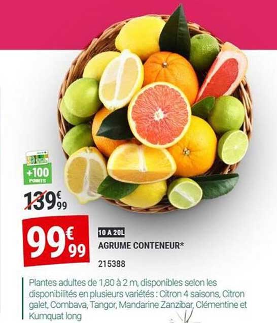 10 A 20L AGRUME CONTENEUR*