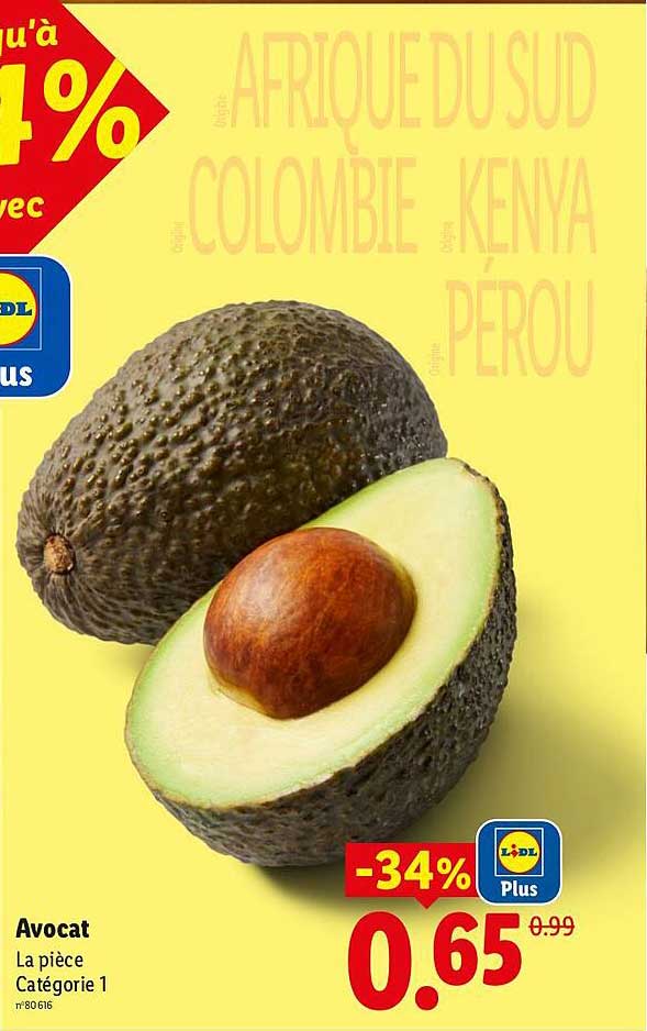 Avocat