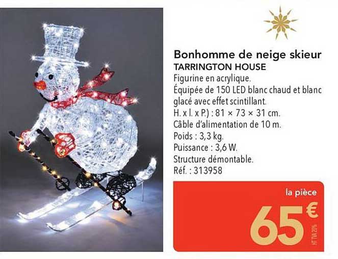 Bonhomme de neige skieur