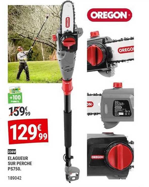 ELAGUEUR SUR PERCHE PS750.