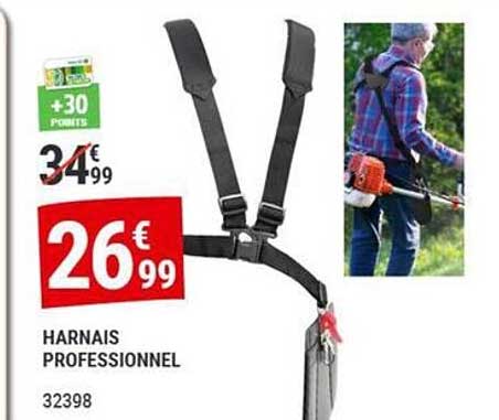 HARNAIS PROFESSIONNEL