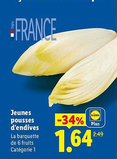 Jeunes pousses d'endives