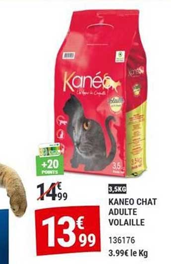KANEO CHAT ADULTE VOLAILLE