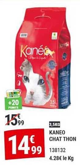 KANEO CHAT THON