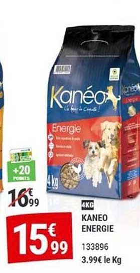 KANEO ENERGIE