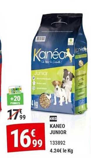KANEO JUNIOR