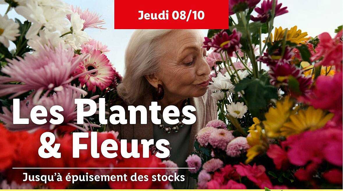 Les Plantes & Fleurs