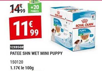 PATEE SHN WET MINI PUPPY