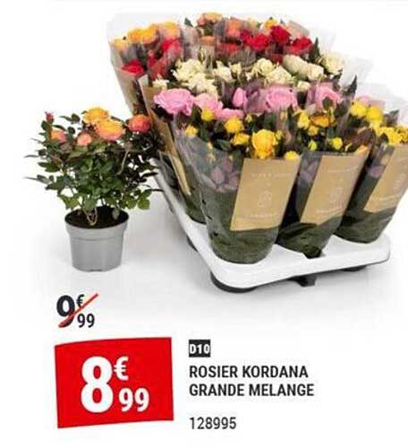 ROSIER KORDANA GRANDE MELANGE