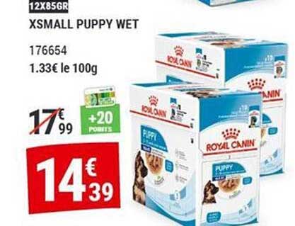 XSMALL PUPPY WET