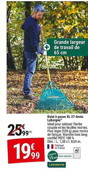 Balai à gazon XL 27 dents Leborgne®