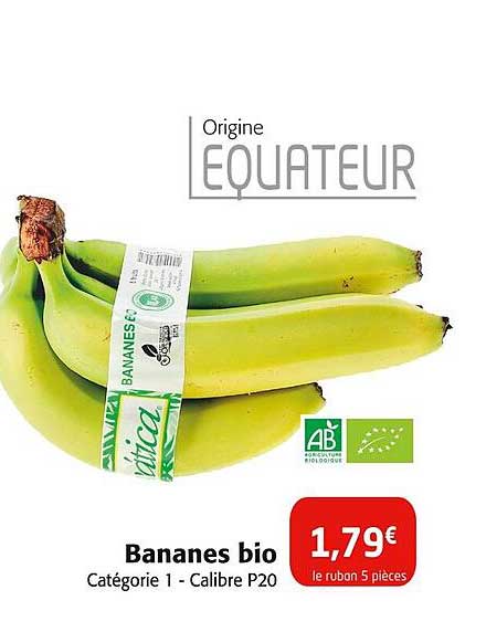Bananes bio