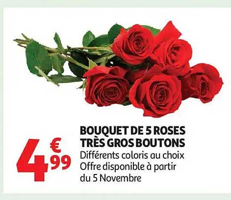 BOUQUET DE 5 ROSES TRÈS GROS BOUTONS