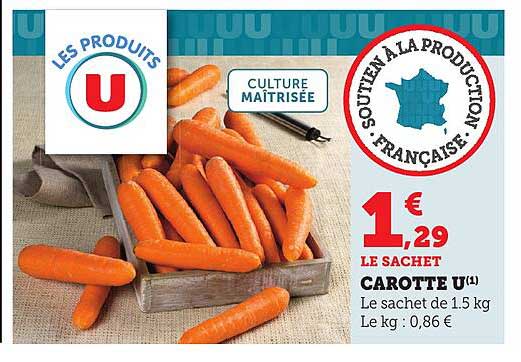 CAROTTE U