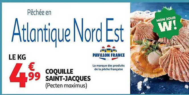 COQUILLE SAINT-JACQUES (Pecten maximus)