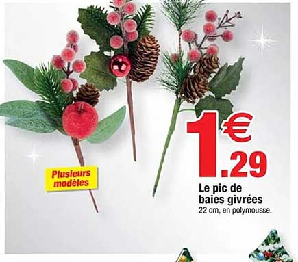 Le pic de baies givrées