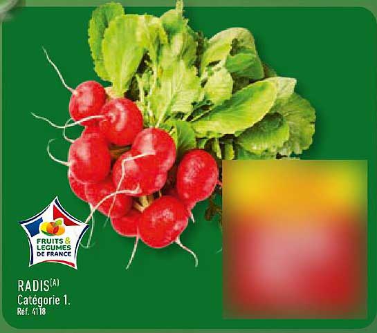 RADIS(A) Catégorie 1