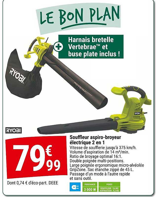 Souffleur aspirateur-broyeur électrique 2 en 1