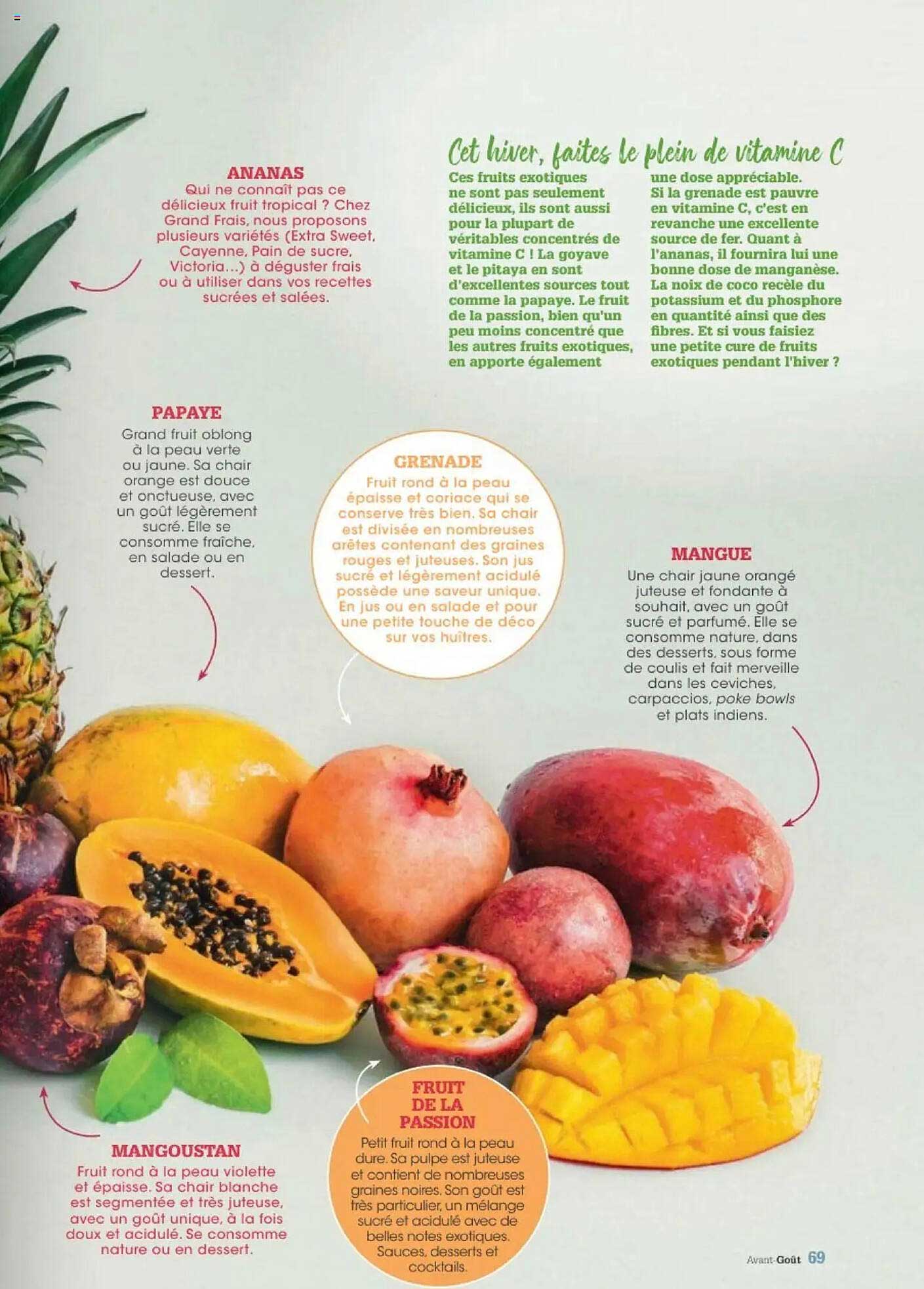 Ananas
Papaye
Grenade
Mangue
Mangoustan
Fruit de la passion