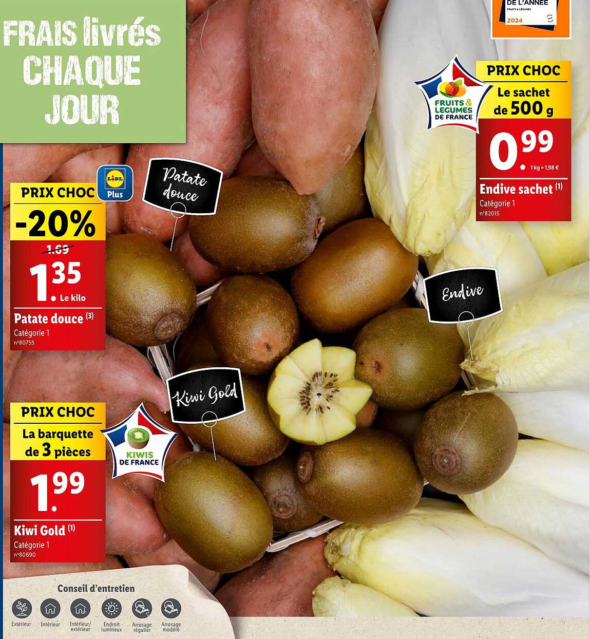 Patate douce  
Endive  
Kiwi Gold