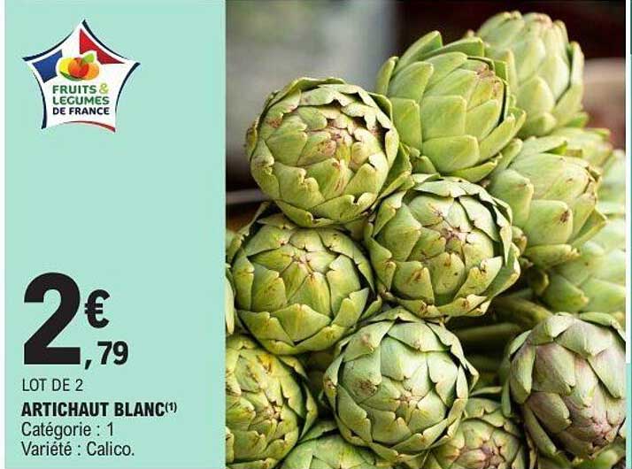 ARTICHAUT BLANC