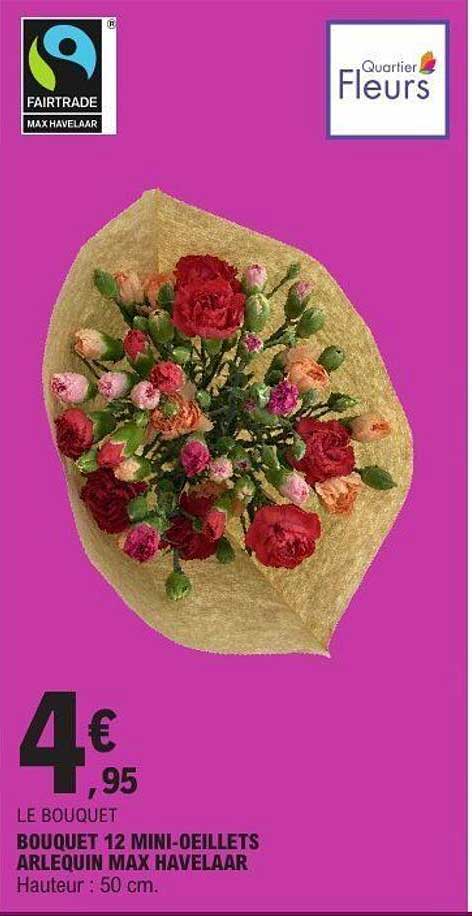 BOUQUET 12 MINI-OEILLETS ARLEQUIN MAX HAVELAAR