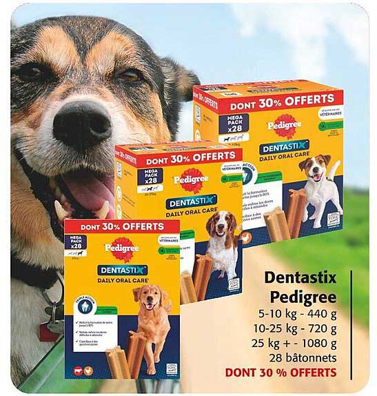 Dentastix Pedigree