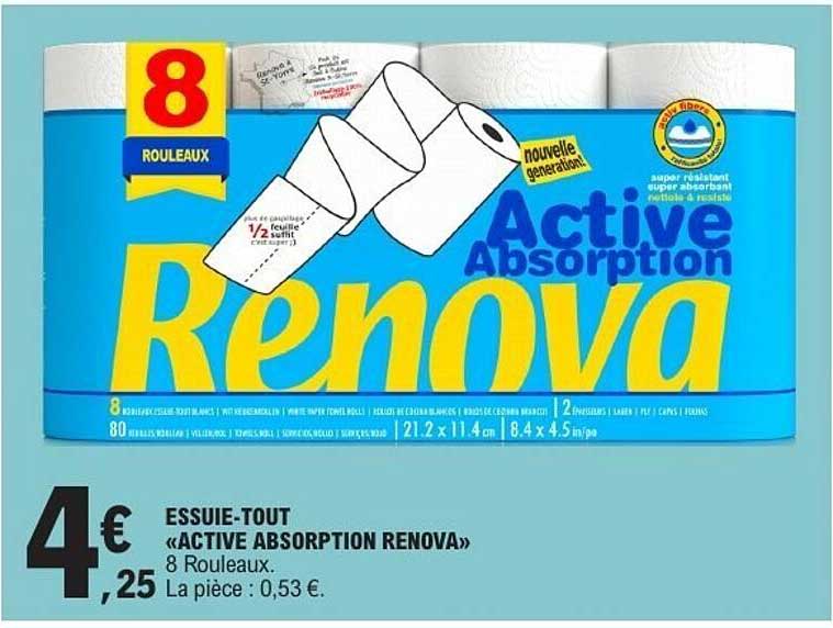 ESSUIE-TOUT «ACTIVE ABSORPTION RENOVA»