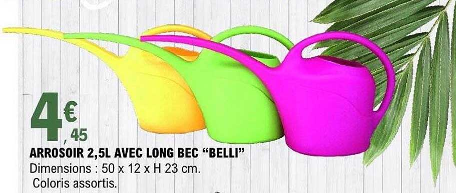 ARROSOIR 2,5L AVEC LONG BEC “BELLI”