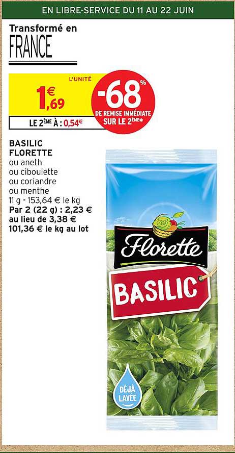 BASILIC FLORETTE