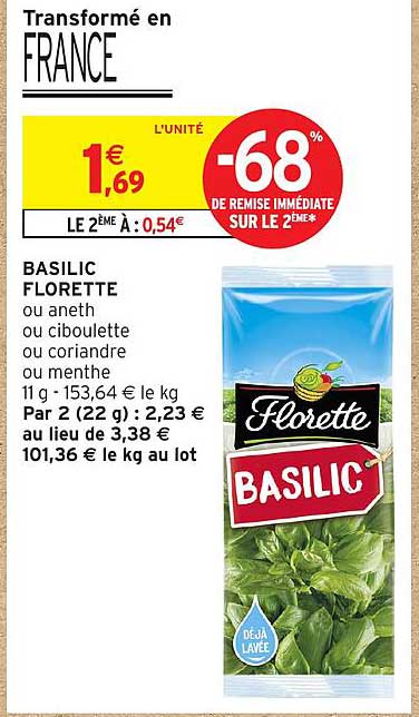 BASILIC FLORETTE