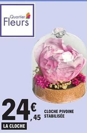 CLOCHE PIVOINE STABILISÉE