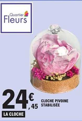 Cloche pivoine stabilisée