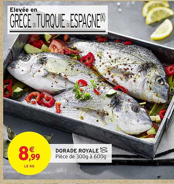 DORADE ROYALE