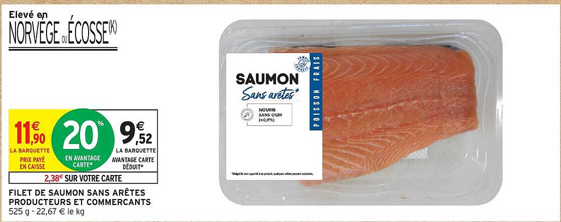 FILET DE SAUMON SANS ARÊTES PRODUCTEURS ET COMERCANTS