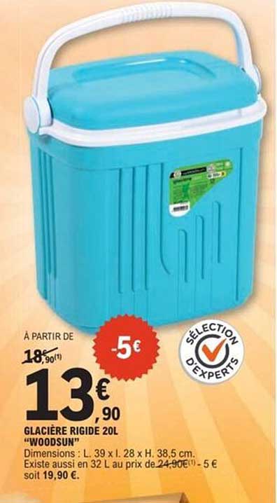 GLACIÈRE RIGIDE 20L "WOODSUN"