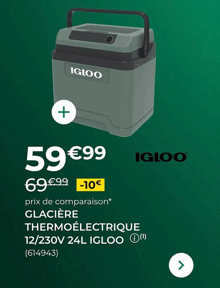 GLACIÈRE THERMOÉLECTRIQUE 12/230V 24L IGLOO