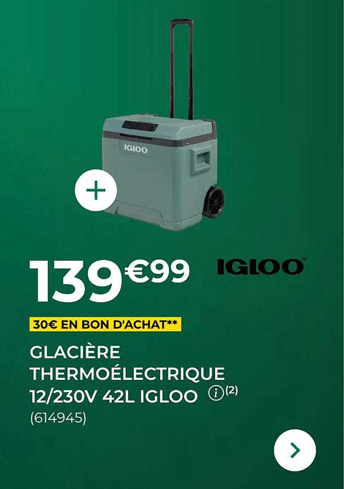 GLACIÈRE THERMOÉLECTRIQUE 12/230V 42L IGLOO