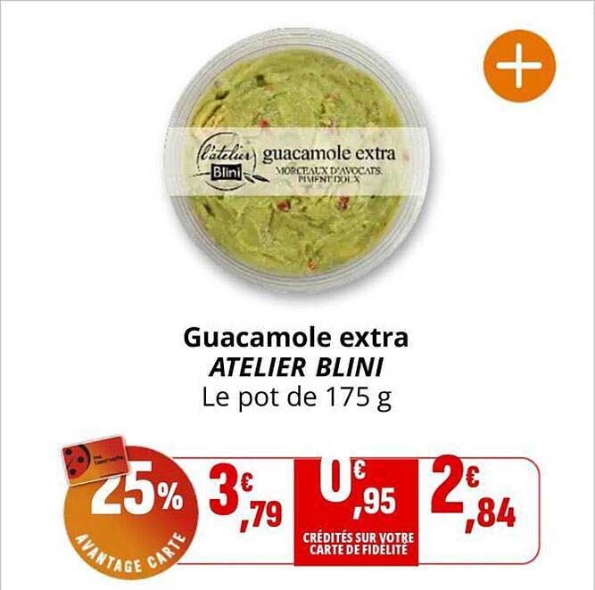 Guacamole extra