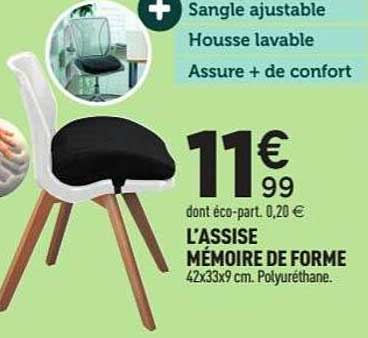 L'ASSISE MÉMOIRE DE FORME