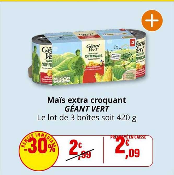 Maïs extra croquant GÉANT VERT