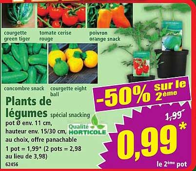 Plants de légumes spécial snacking