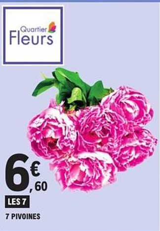 Quartier Fleurs - 7 Pivoines