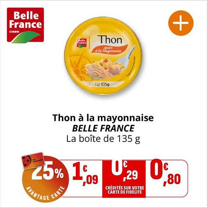 Thon à la mayonnaise BELLE FRANCE