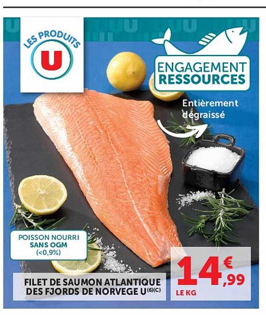 FILET DE SAUMON ATLANTIQUE DES FJORDS DE NORVEGE U(6)C