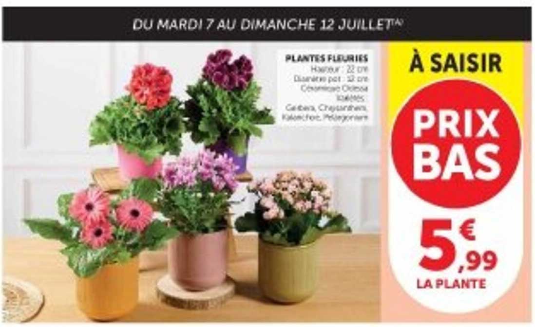 À SAISIR PRIX BAS