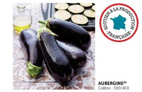 AUBERGINE*